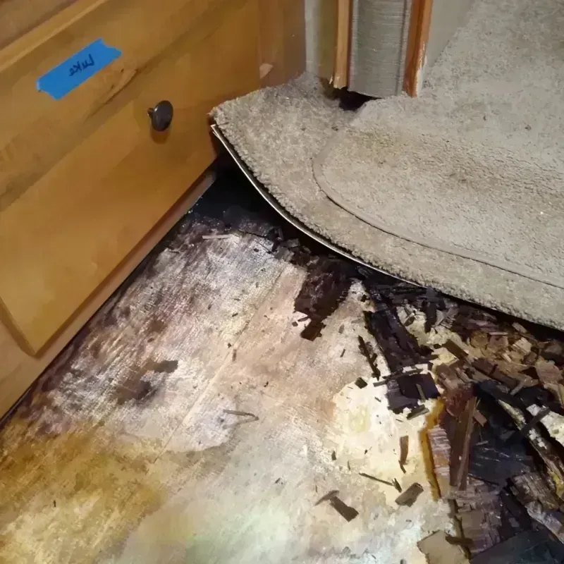 Wood Floor Water Damage in Coral Springs, FL